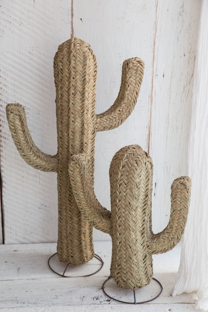 Dekorace kaktus set XXL