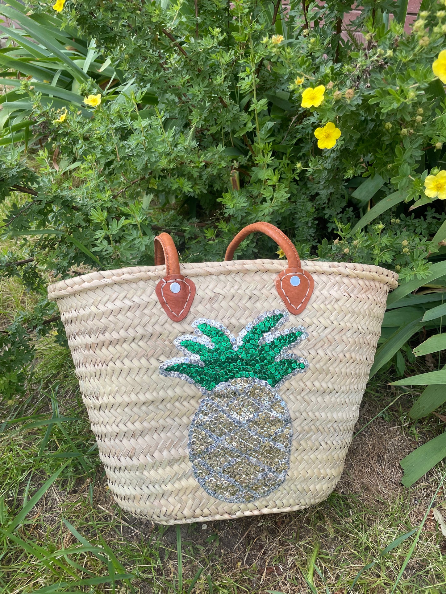 Bag of Pineapple