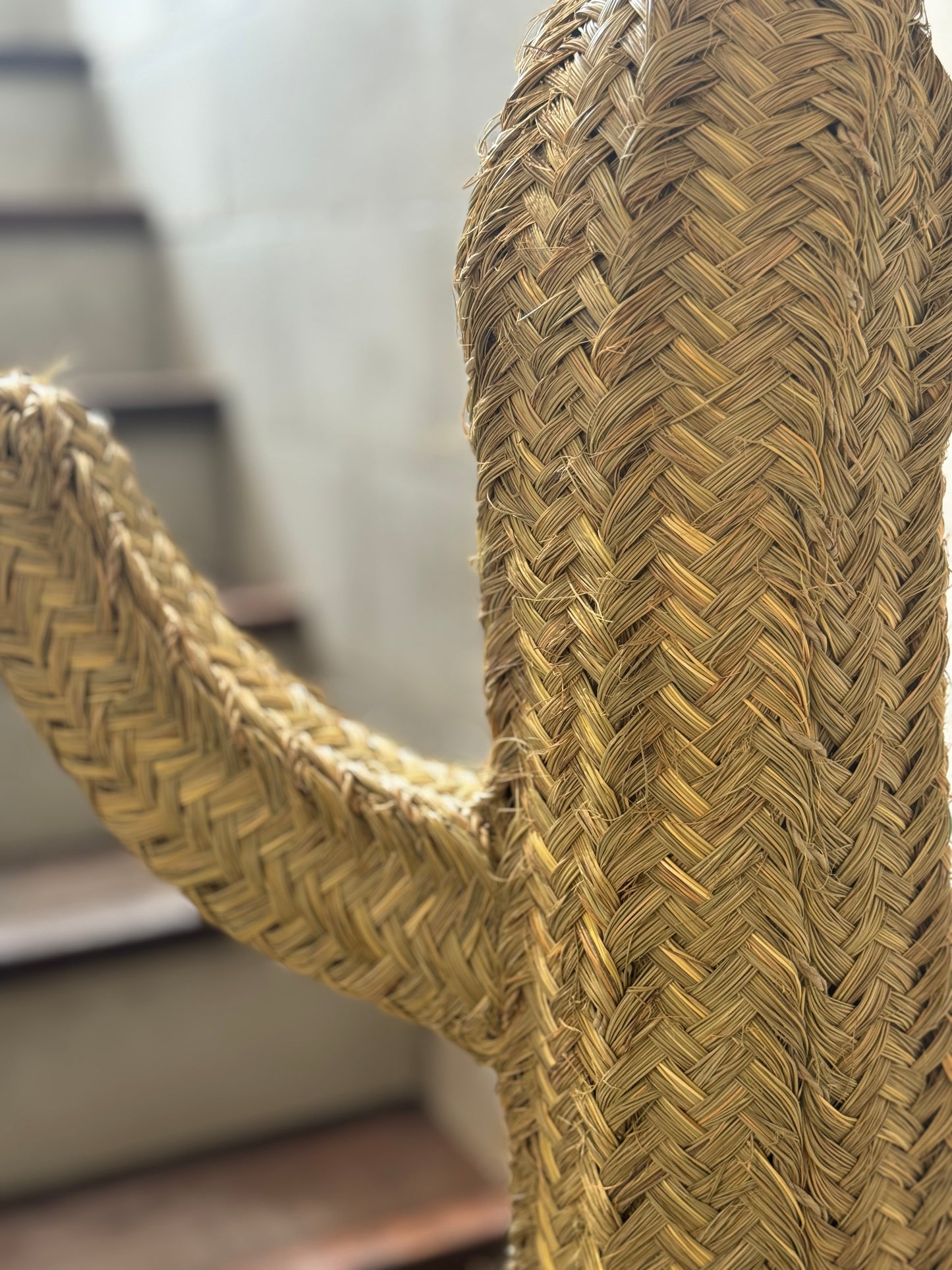 Kaktus dekorace 150cm